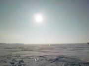 DSC02395.JPG