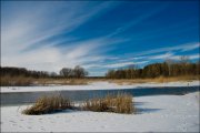 DSC_6266.jpg