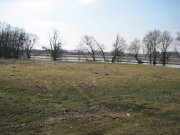 IMG_0549.jpg
