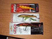 DSC01253.JPG