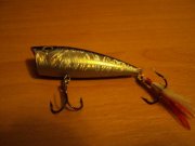 DSC01264.JPG
