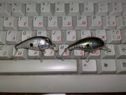 24032010282.jpg
