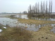 DSC03066.JPG
