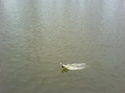 DSC03071.JPG