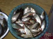 DSC000337.JPG