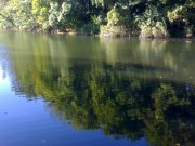 DSC008030.JPG