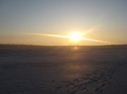 IMG_5526.jpg