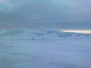 DSC02446.JPG