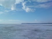 DSC02451.JPG