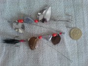 DSC01114.JPG