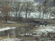 DSC01229.JPG