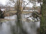 IMG_0588.jpg