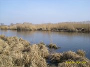 IMG_1143_новый размер.JPG