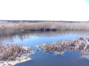 IMG019.JPG
