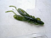 PIC_0053.jpg