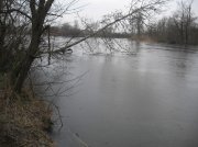 IMG_8419.jpg