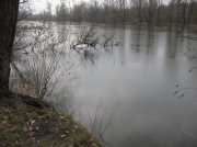 IMG_8431.jpg
