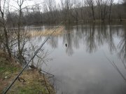 IMG_8441.jpg