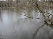 IMG_8436.jpg