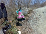 310320102374.jpg