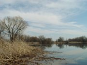 DSC07369.jpg