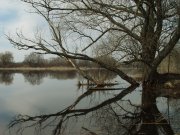DSC07371.jpg