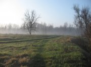 IMG_8480.jpg