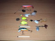 DSC01555.JPG