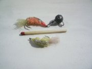PIC_0061.jpg