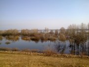 р. Орель с. Радянское.jpg