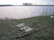 IMG_0580.jpg