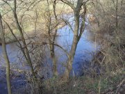 DSC01585.JPG