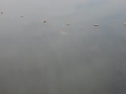 IMG_8558.JPG
