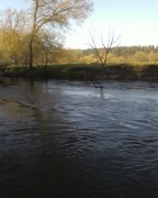 SP_A0715.jpg