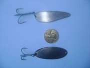 DSC01258.jpg