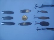 DSC01259.jpg