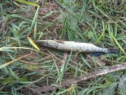 14042010052н.JPG