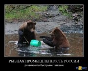 1271018283_demotivator128.jpg