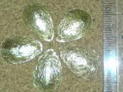 DSC00045.JPG
