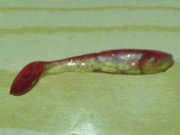 DSC00049.JPG