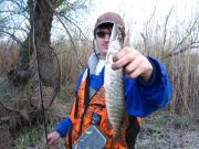 IMG_0242.JPG