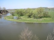 IMG_0718.jpg