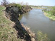 IMG_0719.jpg