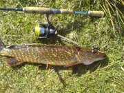 DSC01167.JPG