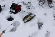 РЫБАЛКА с ТАРАСОМ 002.jpg