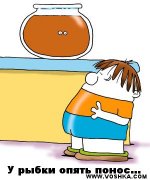 картинки4.jpg