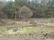 DSC00004.JPG