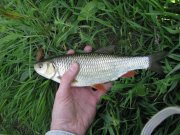 IMG_1412.jpg
