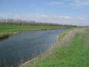 IMG_1422.jpg
