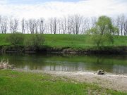 IMG_1436.jpg